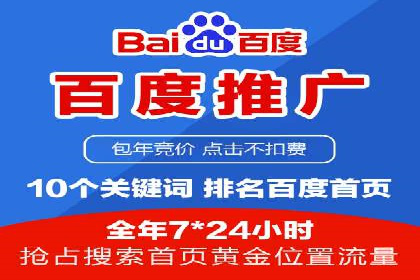 精准营销：百度推广平台的成功案例解析